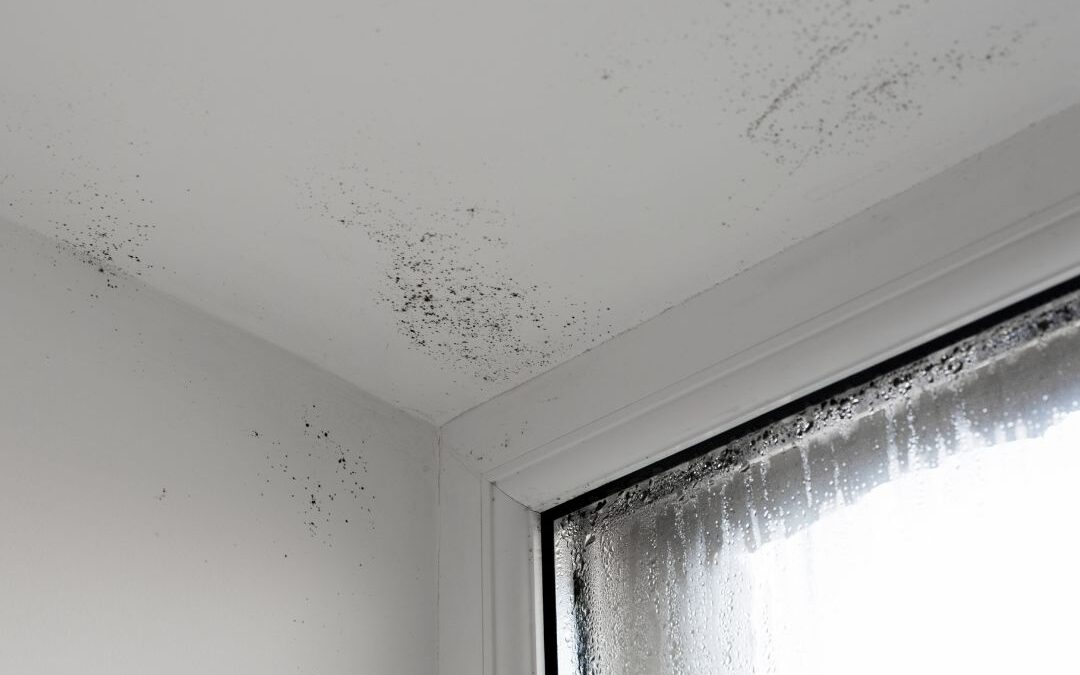 Does External Wall Insulation Cause Damp? Risks & Prevention