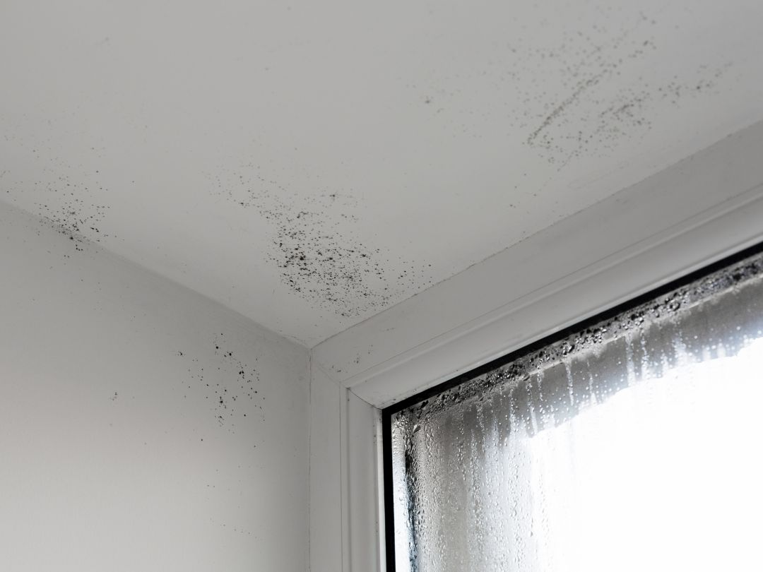 Does External Wall Insulation Cause Damp Risks & Prevention Does External Wall Insulation Cause Damp? Risks & Prevention